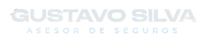 Gustavo Silva · Asesor de Seguros